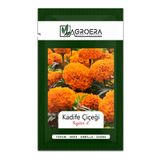 AGROERA Bodur Kadife Çiçek Tohumu (tagetes L.) 50 Adet