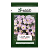 AGROERA Ezan Çiçeği Tohumu (Oenothera)