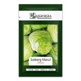 AGROERA Iceberg Tohumu Göbek Marul Tohumu (5 Gr - 2270 Adet)