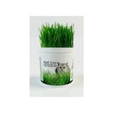 Agroera Kedi Çimi Doğal 10 cm Uzunlukta Tüy Yumağı Önleyici Evcil Hayvanlar İçin