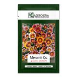 AGROERA Meramlı Kız (GAZANİA SPLENDENS) Çiçek Tohumu 30 Adet