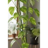 AGROERA Plant Nutrition Bitki Gövde Destek ve Sabitleme Klipsi | Dikey Büyüme İçin Pratik & BİTKİ TUTUCU(4lüSet)
