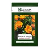 AGROERA Portakal Nergisi - Aynı Sefa (calendula Officinalis) Çiçek Tohumu 100 Adet