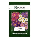 AGROERA Süs Bitkisi Aster Çiçek Tohumu 50 Adet