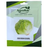 Agrokar Iceberg Marul Tohumu 2 gr