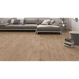 Agt Effect Derzli Laminat Parke 8mm Solaro + 6cm Süpürgelik + 3mm Kapron Takım Kahverengi