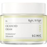 Ahes Cicanoid Cream Cica & Panthenol ve Centella Içeren Yatıştırıcı Nemlendirici Krem