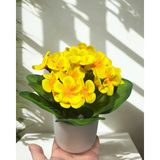 Ahfa Natural Craft Saksıda Sarı Menekşe (15CM) Beton Karışımlı Mini Saksı Yapay Menekşe Minimal Dekoratif Çiçek
