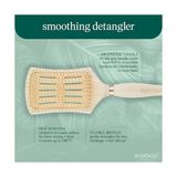 Ahl Shop Ecotools Düzeltici Detangler Saç Fırçası, Islak Veya Kuru Saçlar Için Fırça, Ağrısız Dolaşık Açma, Stil ve Pürüzsüz Saçlar, Yenilenebilir Bambu ve Esnek Kıllar, Vegan ve Zulüm Içermez, 1 Adet