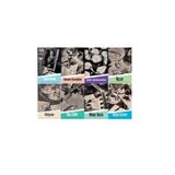Ahmet Hamdi Tanpınar / 8 Kitap Set - Saatleri Ayarlama Enstitüsü - Huzur - Beş Şehir - Mahur Beste - Hikayeler - Sahnenin Dışındakiler - Bütün Şiirleri - yahya kemal