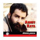 Ahmet Kaya Dokunma Yanarsın Plak LP