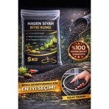 AHS 5 KG Hagen Siyah Bitki Kumu 1–2 mm | Bitkili Akvaryum Taban Kumu | pH Nötr Doğal Kum