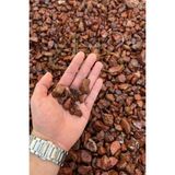 Ahs Kırmızı Bordo Dolomit Çakıl Taşı 1-3 cm 10 kg Dekoratif Bahçe Peyzaj Saksı Akvaryum Teraryum - ST