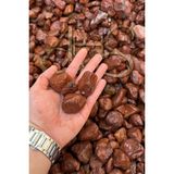 Ahs Kırmızı Bordo Dolomit Çakıl Taşı 4-6 cm 10 kg Dekoratif Bahçe Peyzaj Saksı Akvaryum Teraryum - ST