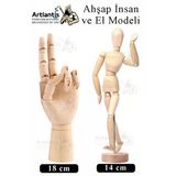 Ahşap İnsan Modeli 14 Cm Ve El Modeli 18 Cm 1 Paket Hareketli İnsan Ve El Manken Maketi Esnek Çizim Modeli Teşhir