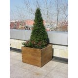Ahşap Saksı 60X60X50