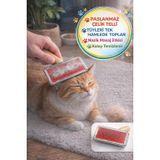 Ahşap Saplı Kedi Köpek Tarağı Paslanmaz Çelik Tüy Toplama Fırçası Kolay Temizlenir 11x8 cm PT-EVH-TAR-010