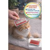 Ahşap Saplı Kedi Köpek Tarağı Paslanmaz Çelik Tüy Toplama Fırçası Kolay Temizlenir 11x8 cm