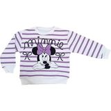 Ahsenim Bebe Kız Çocuk Kalın Sweatshirt - Lila - 3 Yaş