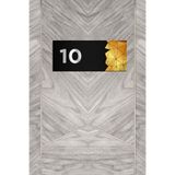 Ahwall Dekoratif Aynalı Kapı Numarası Pleksi No: 10 Gold