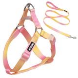 AIITLE Step-in Köpek Koşum Takımı ve Tasma Seti - Çekmesiz Evcil Hayvan Ayarlanabilir Halter Koşum 5FT Tasmalı - Çift D Halka, Kolay Uyum - Büyük Irk Köpekler için Kolay Yürüyüş Koşu Eğitimi,