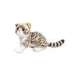 Ailenizin Oyuncakçısı Miyavlayan Sesli Tekir Kedi Peluş Oyuncak 22 cm Bej