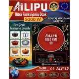 Ailipu 5000W Elektrikli Ocak Gold Hmt Tüm Tencerelerle Uyumlu Dokunmatik Alp-12