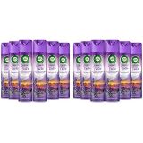 Air Wick Aerosol Lavanta Esintisi Oda Kokusu (6 x 300 ml) (2 paketi)