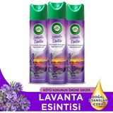 Air Wick Aerosol Sprey Oda Kokusu Lavanta Esintisi 3x300 ml