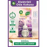 Air Wick Air Wick Elektrikli Oda Kokusu Yedek Lavanta