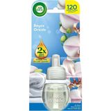 Air Wick Airwick Elektrikli Oda Kokusu Yedek Şişe 19 ml Beyaz Orkide 4'li Avantaj Paketi - 4 Adet