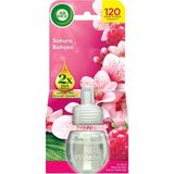 Air Wick Airwick Elektrikli Oda Kokusu Yedek Şişe 19 ml Sakura Bahçesi 8'li Avantaj Paketi - 8 Adet
