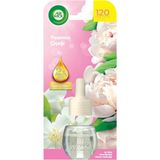 Air Wick Airwick Elektrikli Oda Kokusu Yedek Şişe 19ML Yasemin Çiçeği 3'li Ekonomik Paket - 3 Adet