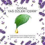 Air Wick Elektrikli Oda Kokusu Esansiyel Yağlar Yedek Şişe Lavanta