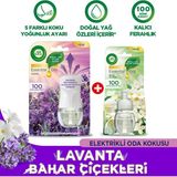 Air Wick Elektrikli Oda Kokusu Kit 1 Cihaz 1 Koku Lavanta ve Bahar Çiçekleri 100 Gün Kalıcı Ferahlık