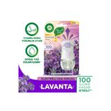 Air Wick Elektrikli Oda Kokusu Kit Lavanta 8682539004098