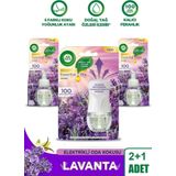 Air Wick Elektrikli Oda Kokusu Seti Lavanta (1 Kit 2 Yedek)