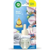 Air Wick Elektrikli Oda Kokusu Yedek Şişe Beyaz Orkide 19 Ml