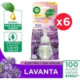 Air Wick Elektrikli Oda Kokusu Yedek Şişe Lavanta x 6