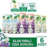 Air Wick Elektrikli Oda Kokusu Yedek Şişe Seti X6 100 Gün Etkili Doğal Yağ Özleri İçeren Bahar Çiçekleri Lavanta