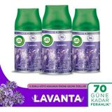 Air Wick Freshmatic Yedek Sprey Lavanta 3X250ML Otomatik Oda Kokusu İle 70 Gün Ferahlık