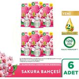 Air Wick Sakura Bahçesi Elektrikli Oda Kokusu Yedek Şişe 6x19ml Doğal Yağ Özleri İçerir