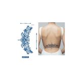 Airbrush Tattoo Geçici Dövme, 28x15 cm, GZXT-079, Bel Göğüs Sırt, Yarı Kalıcı