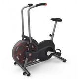 Airdyne Ad2i Bisiklet