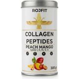 Airobazar Hidrolize Toz Kolajen Peptit 300 gr - Şeftali ve Mango Aromalı - Şeftali - Mango