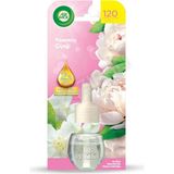 Airwick Yasemin Çiçeği Elektrikli Oda Kokusu Yedek 19 ml
