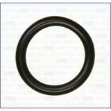 Ajusa 16502100 Bmw F10 N20 F82 M4 Yağ Soğutucu O-Ringi 17227613656 1920Pe