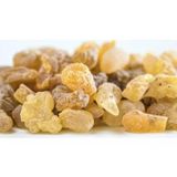 Ak Günlük Sakızı 60 Gr