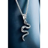 Ak Stor Silver Ak Store Silver Gümüş Kaplama K-148 Paslanmaz Kromix Erkek Kolyesi (California Milk Snake) Yılan Madalyon