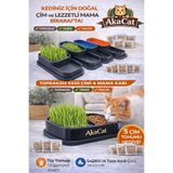 AKACAT Mama Kabı Ve Topraksız Doğal Kedi Çimi Suda Yetiştirme Saksısı Tüy Yumağı Önleyici